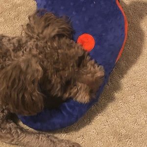 Meet your Posher, Mona